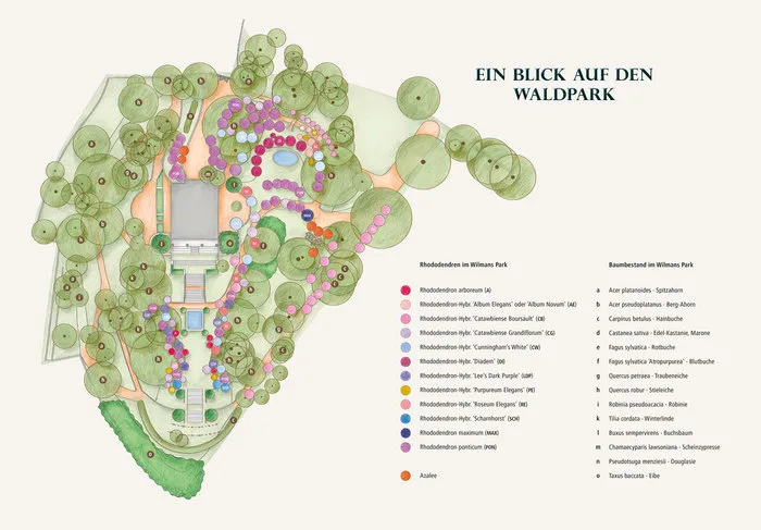 Eine Übersichtskarte über die verschiedenen Vegetationsarten im Wilmans Park